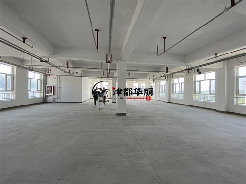 銀川臺(tái)球廳裝修設(shè)計(jì)項(xiàng)目|津都華麗設(shè)計(jì)